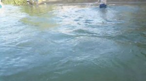 Силикатный Навашино