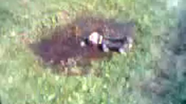 Видео о том как Молли мячик из лужи доставала (Video on how Molly got out of the puddle ball) смотреть онлайн