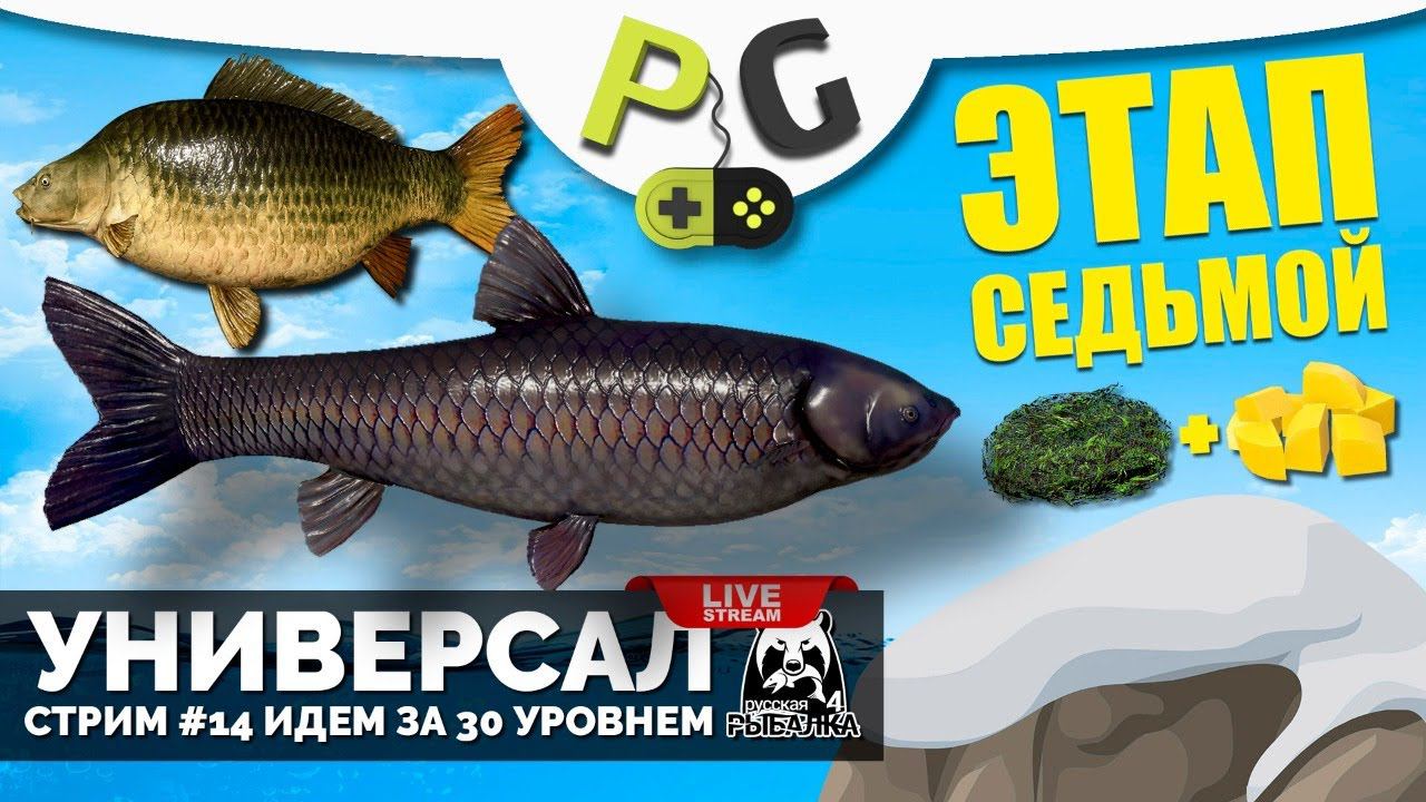 Русская Рыбалка 4 - Стрим Прокачка УНИВЕРСАЛА для 7-го этапа Стрим #14 Амуры на Медвежьем смотреть онлайн