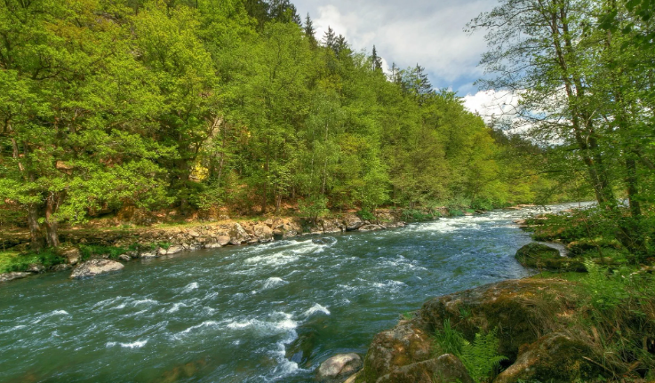 Успокаивающие Звуки леса. Звуки успокаивающего водопада в лесу ✦ Relax
