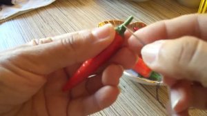 Комнатный острый перец .  Как  сохранить урожай.