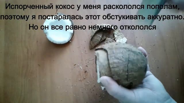 Как сделать кокосовое молоко и стружку. Как выбрать кокос. Как разбить кокос.