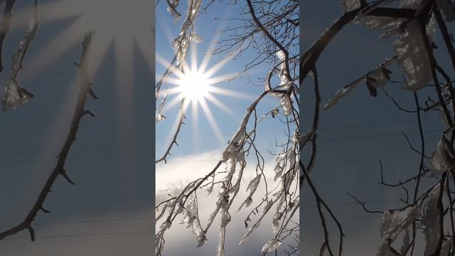 І тепер ти одна.... Василь Зінкевич (Заметіль)