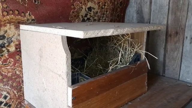 Гнёзда для домашней птицы. Зима нас не покидает. смотреть онлайн