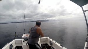 Snapper Fishing, Berkley Gulp Lure, NSW Australia