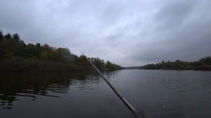 Северский Донец, рыбалка возле дома