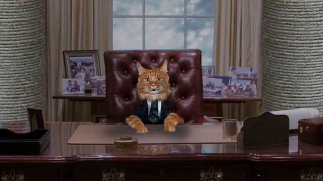 Что такое Mews News? Смотреть всем людям смотреть онлайн