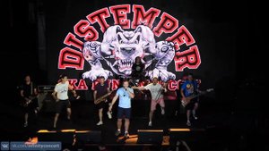 Distemper - Ты настоящий лишь внутри. Санкт-Петербург 08.09.2017