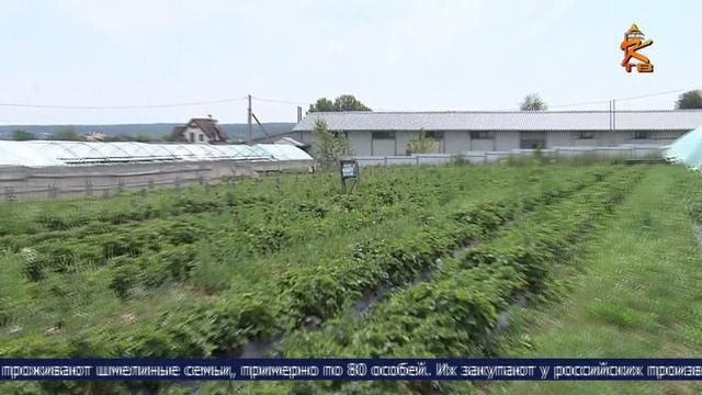 Новости Коломны на канале КТВ 6 июля 2023