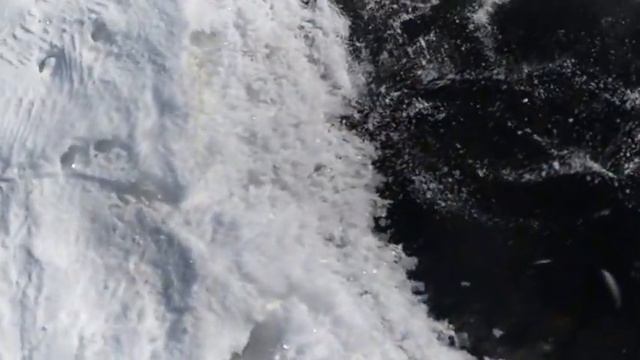 Массовая гибель рыбы на реке Уй в районе села Осиповка смотреть онлайн