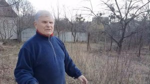 Вишня - одно из главных деревьев на участке