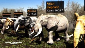 Big Elephant size comparison | Mammoth size comparison