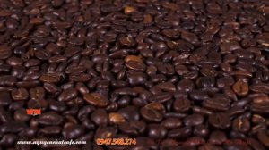 Cung cấp sỉ lẻ cà phê nguyên chất mộc, bán cà phê rang mộc - 0947.548.274