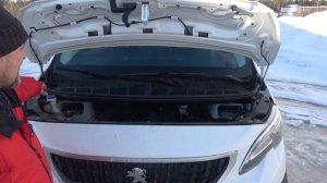 Тест Peugeot Expert Profi 4X4 Dangel с салоном Rivera