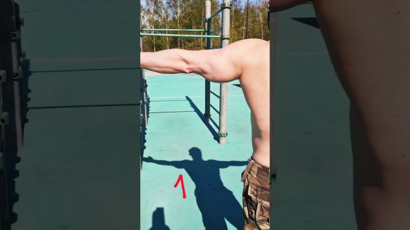 Трицепс здорового человека(см на тень).#calisthenics