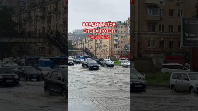 Владивосток опять затопило07.08.2024⚠️в каком районе уже вырубили свет❔