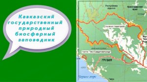 Виртуальное путешествие «Самые удивительные заповедники России»