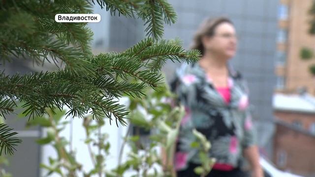 За пространство вокруг перехода во Владивостоке серьезно взялись смотреть онлайн