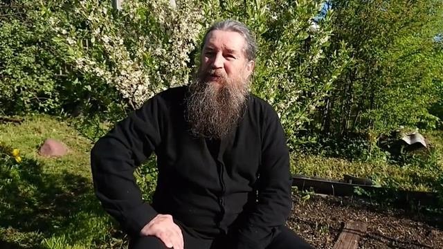 О стерилизации животных
