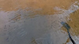 ОЧЕНЬ КРУТЫЕ НАХОДКИ!ПОДВОДНЫЙ КОП С СИМПЛЕКСОМ!!