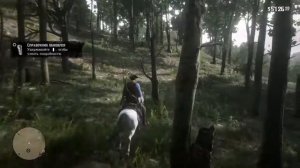 RDR 2 прохождение