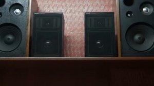 колонки Coral bx 1000
