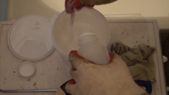 ЭкоМалька смотреть онлайн