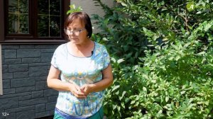 Голубика садовая. Условия выращивания и уход