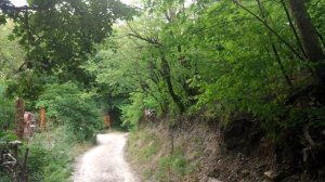 Назарова дача ч. 2-я.