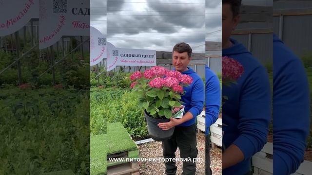 Уже скоро начинаем лекторий!!! ✅Так что вставайте со своих диванов и приезжайте пообщаться вживую смотреть онлайн