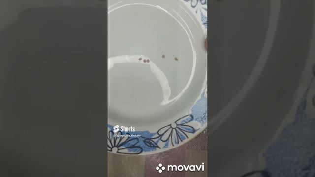 ТОМАТ ЯБУКАР ВЕЛИКА ПЛАНА ПОСАДКА ЕГО НА РАССАДУ. ОГОРОД НА КУБАНИ. shorts # смотреть онлайн