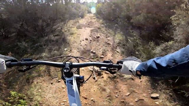 ROCKRIDER ALL MOUNTAIN AM 100 HARDTAIL