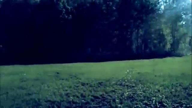 ВСЕ ПРО РЫБАЛКУ смотреть онлайн