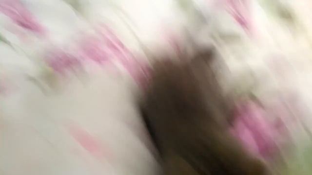 кошенята в 00.45 ночі. друга частина. смотреть онлайн