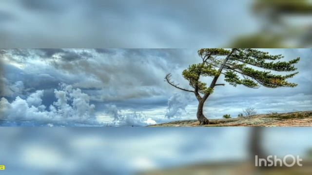 Громкие чтения "Поэзии чудесный гений" смотреть онлайн