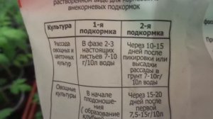 МОНОФОСФАТ КАЛИЯ ДЛЯ УКРЕПЛЕНИЯ РАССАДЫ. Ольга Чернова.