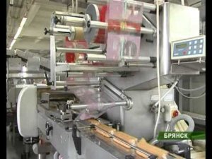 Н.Денин на "Брянконфи"_10_10_12