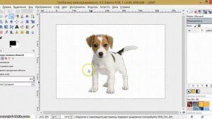 УРОК #3- Удаление фона на фото в редакторе GIMP