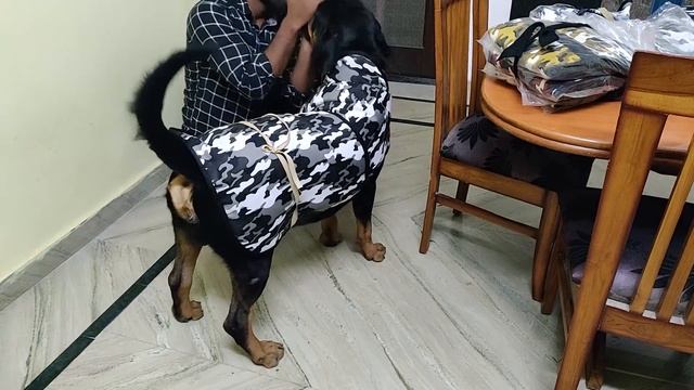 Winter Jacket for Nut & Bolt смотреть онлайн