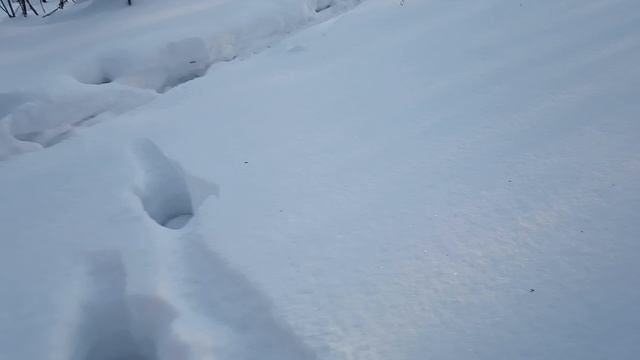 Прогулялся по заброшечькам, мог наткнуться на полицию.