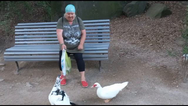 Марина ицхокина смотреть онлайн