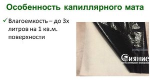 Капиллярный мат для автополива рассады и комнатных растений (видеоинструкция)