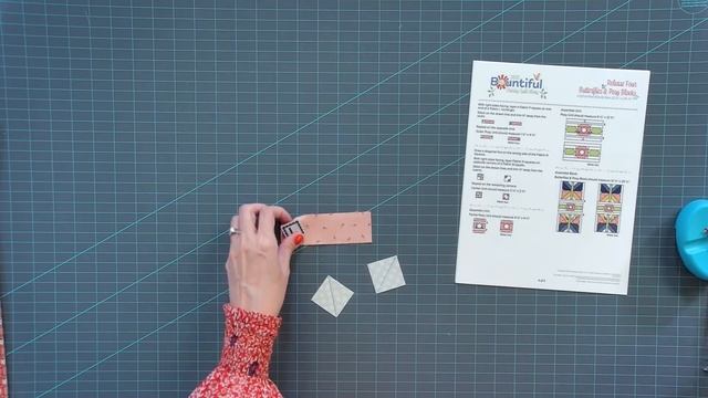 This Block gives us Butterflies! Bountiful Charity Quilt Along Part 4 & May 2023 Sew Sampler Unboxe