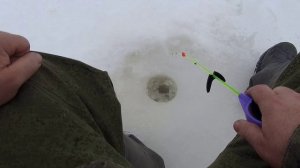 С Мухтаром  на рыбалку!