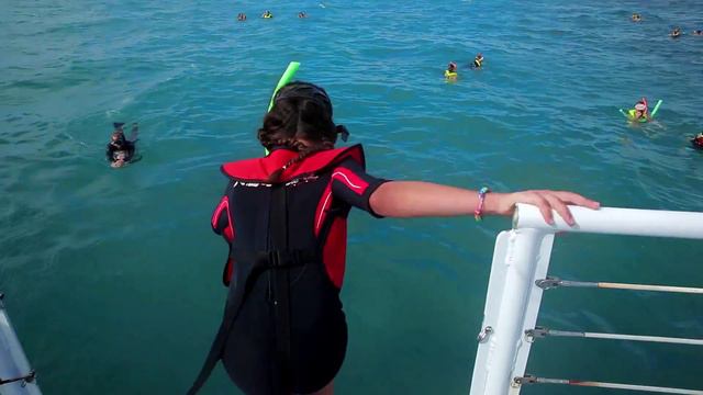 Catamaran Sail & Snorkel in Key West | Carnival Shore Excursions