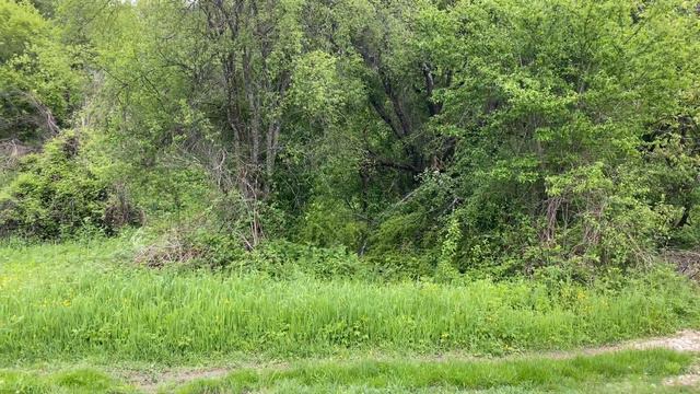 11 мая 2021 г. смотреть онлайн