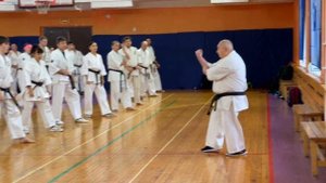 Кёкусинкай / Учебно-тренировочные сборы СЗФО-2022 / Кихон / Сихан Танюшкин