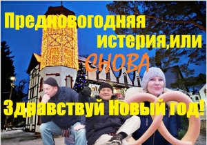 Прибрежное путешествие в канун Нового года по городам курортам Янтарный,Светлогорск,Калининград и др