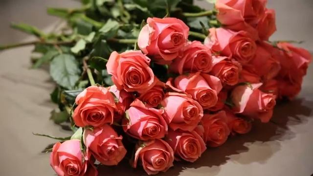 Розовые розы 40 см (Кения) смотреть онлайн