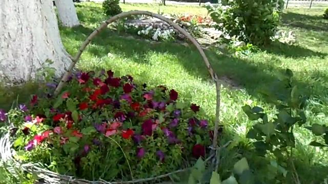 Караганда | интересные цветы в стилизованно сплетённой корзине у школы смотреть онлайн